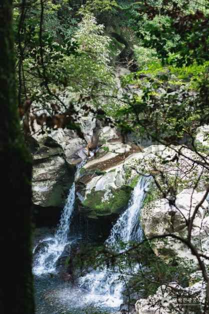 돈내코 원앙폭포