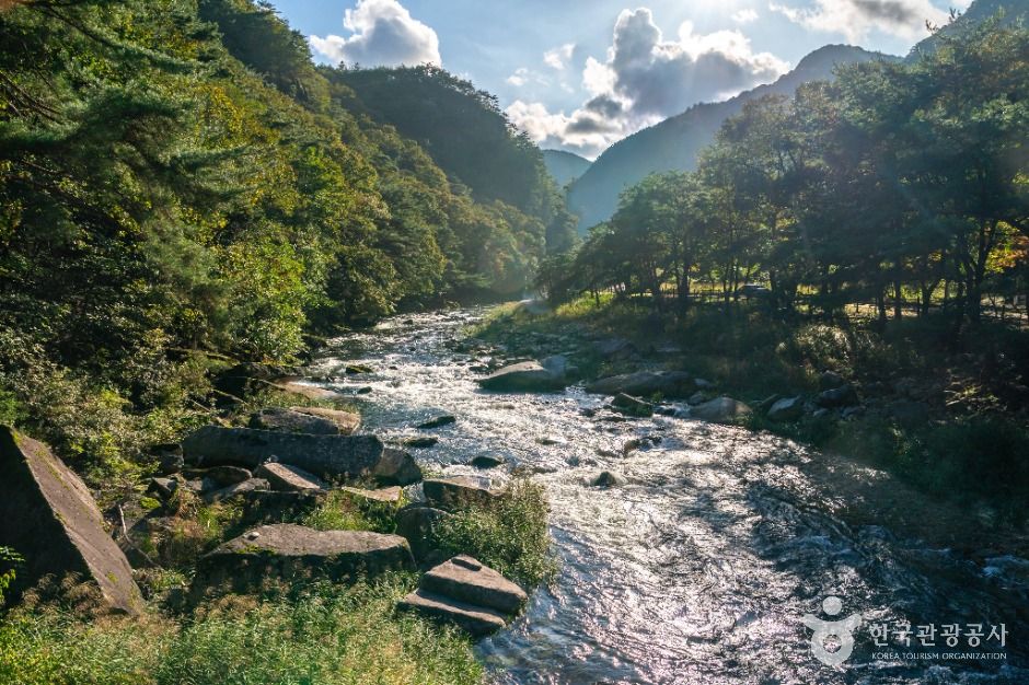 thumbnail-중선암-9