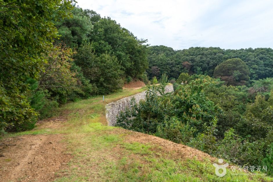 충주_충주 장미산성 (3)