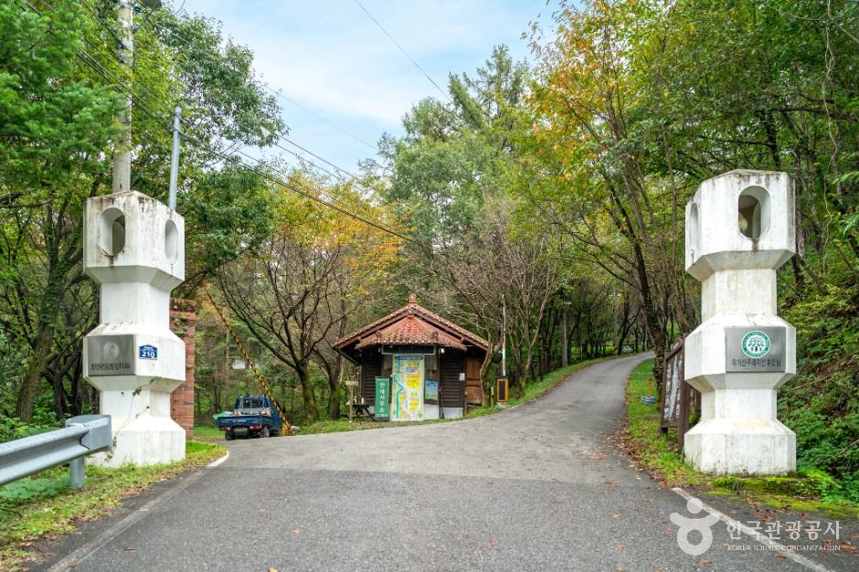 학가산자연휴양림