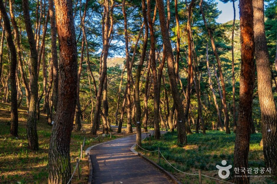 thumbnail-금오산도립공원-5