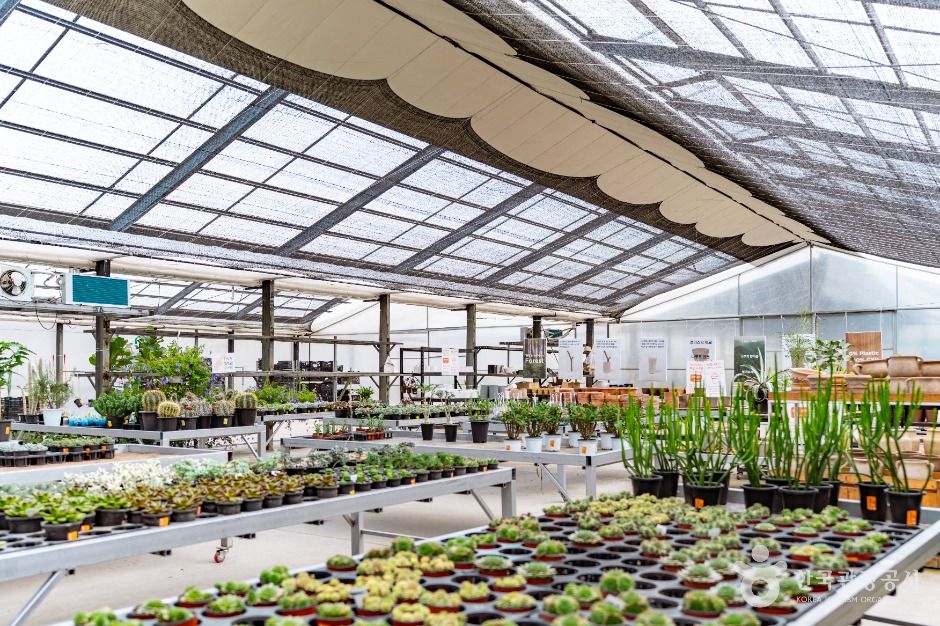 아산_세계꽃식물원 (3)