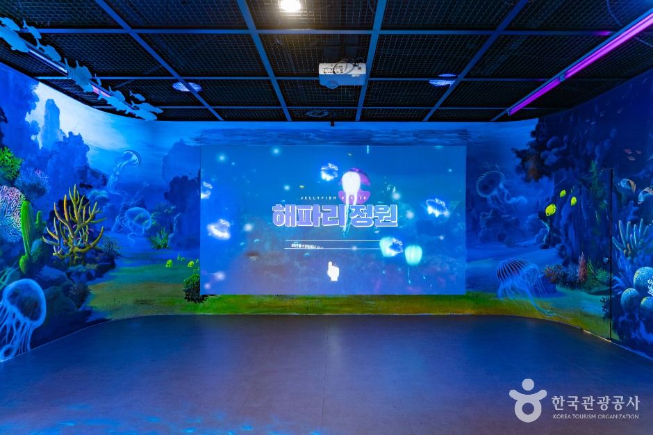 당진_해양테마체험관 (당진) (5)