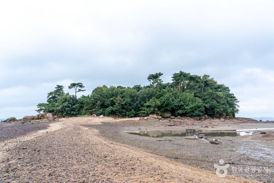 맨삽지(학성리 공룡발자국화석)