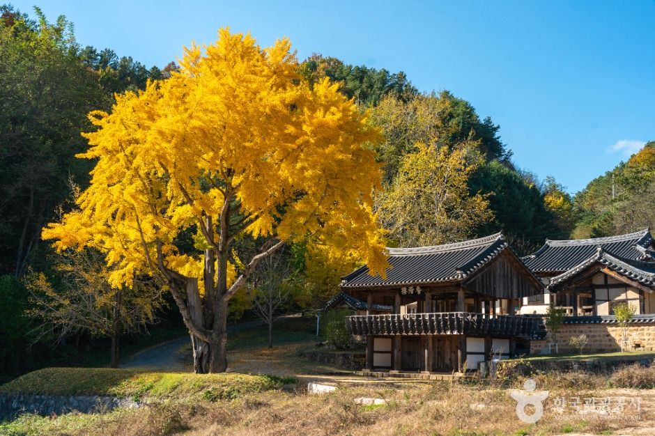 thumbnail-예안향교-1