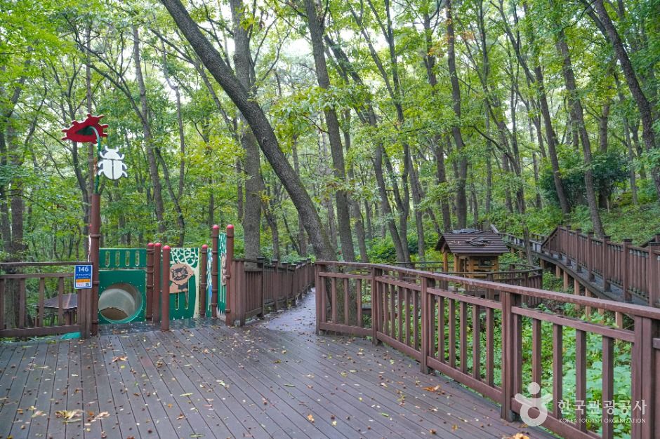 백양산 웰빙숲