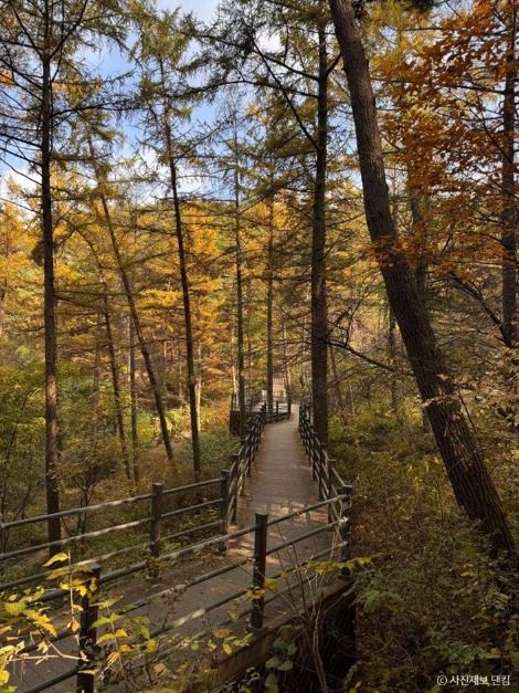 원주_[치악산 둘레길 1코스] 꽃밭머리길_ⓒ 사진제보 댄킴 (1)