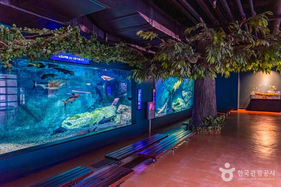 울진_민물고기생태체험관 (8)