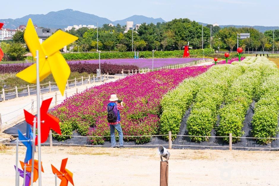 thumbnail-Nari Farm (나리농원)-9
