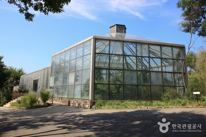Hantaek Botanical Garden (한택식물원)