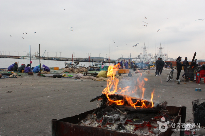 속초항 (공공기관이 추천하는 여름철 선박 해양 시설)0