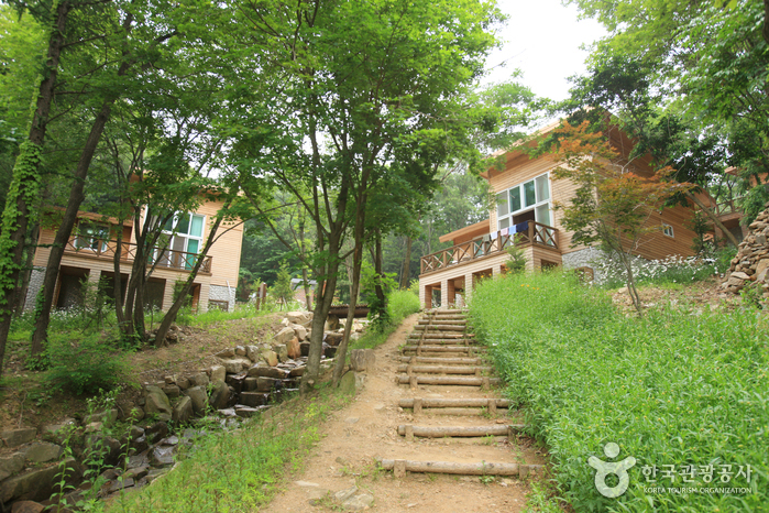 Jwagusan Recreational Forest (좌구산 자연휴양림)3