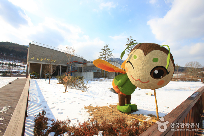 Bandi Land (무주 반디랜드)