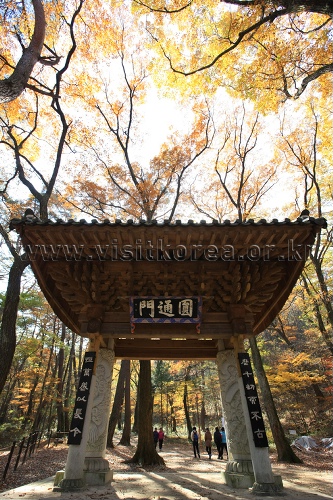 Guryongsa Temple (구룡사)
