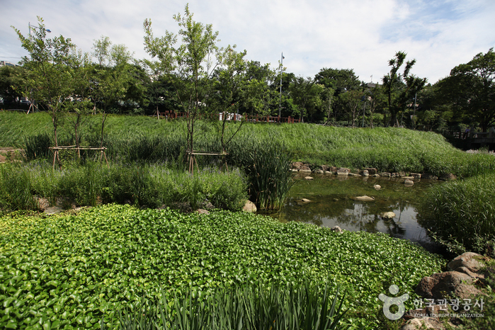 奨忠壇公園（장충단공원）