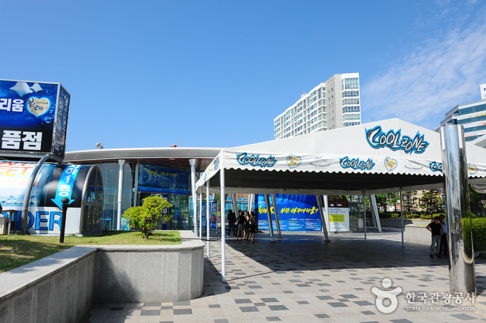 Busan Aquarium (부산아쿠아리움)