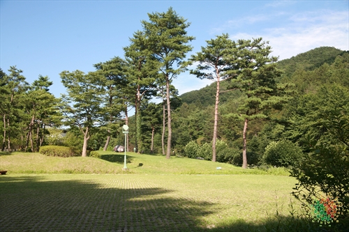 미동산수목원 이미지