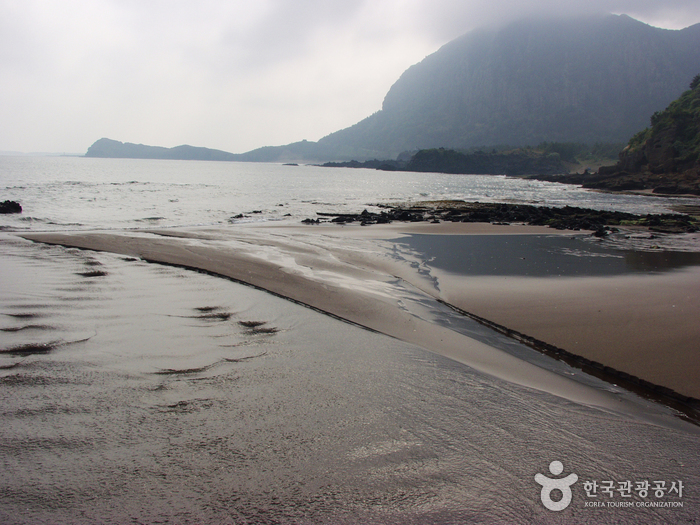 [제주올레 9코스] 대평-화순 올레0