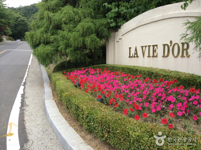 Lavie Dor度假村(라비돌리조트)