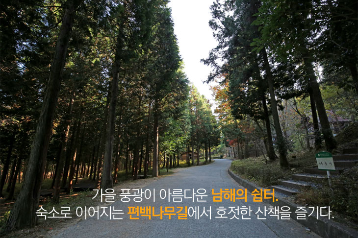 가을 풍광이 아름다운 남해의 쉼터. 숙소로 이어지는 편백나무길에서 호젓한 산책을 즐기다.