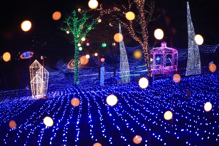 별빛따라 두메향기7