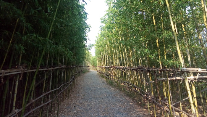 大渚生態公園(대저생태공원)