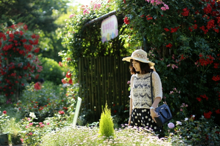 Seoul Grand Park Rose Festival (서울대공원 장미원축제)