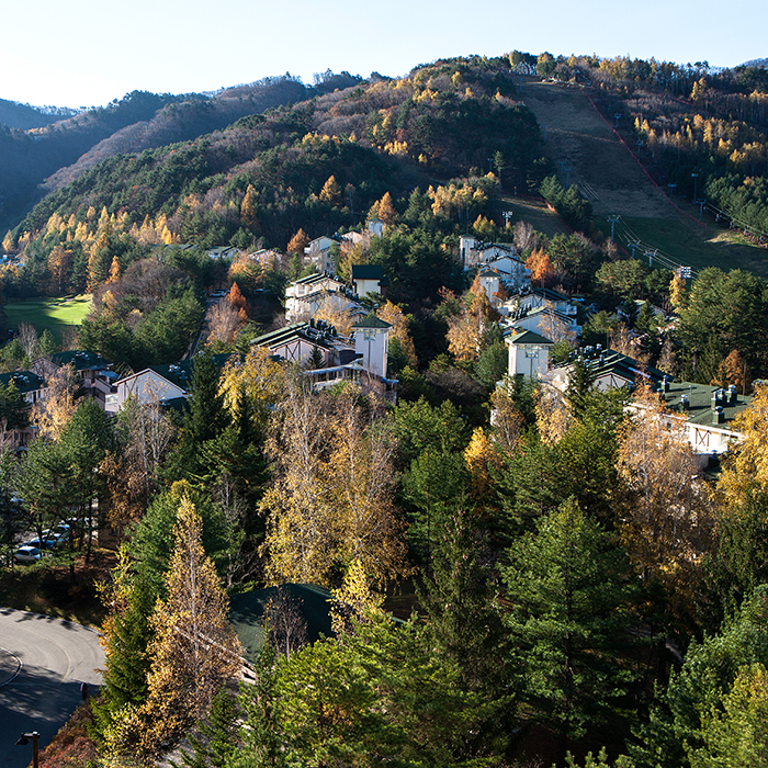 Yongpyong Resort Villa Condo (용평리조트 빌라콘도)