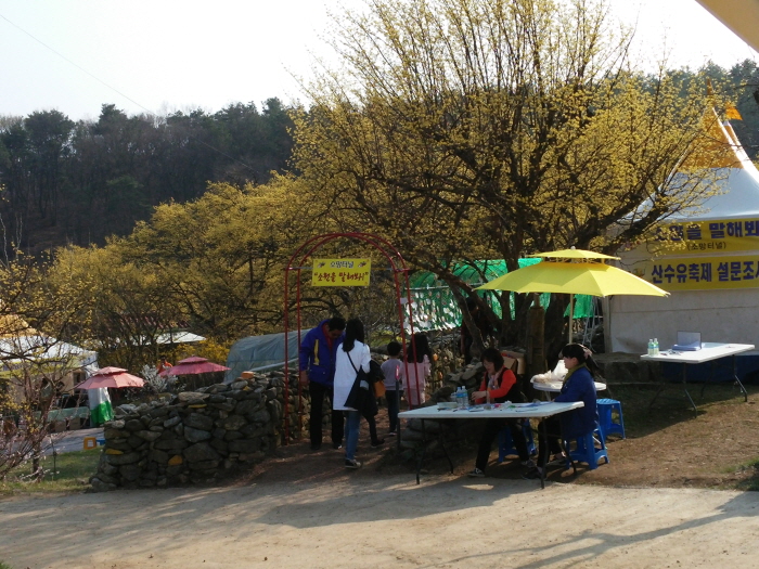 Aldea Sansuyu de Icheon (이천 산수유마을)