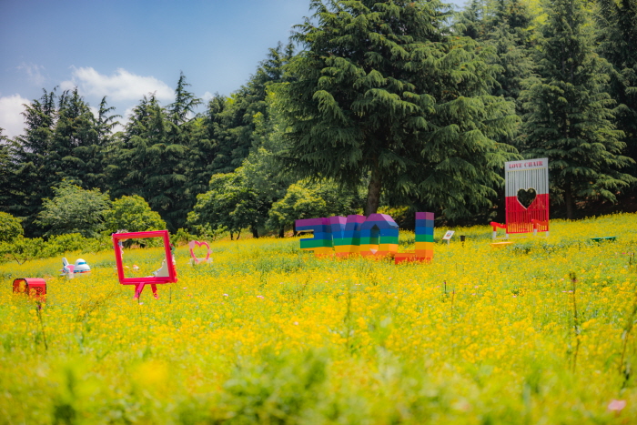 이월드 컬러풀 페스티벌 20197