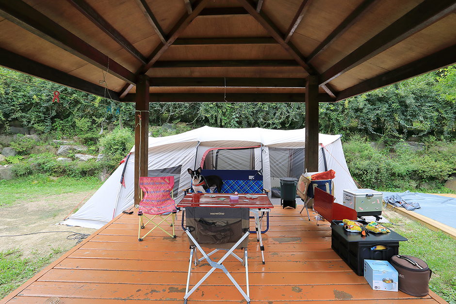 트리독스 애견전용캠핑장0