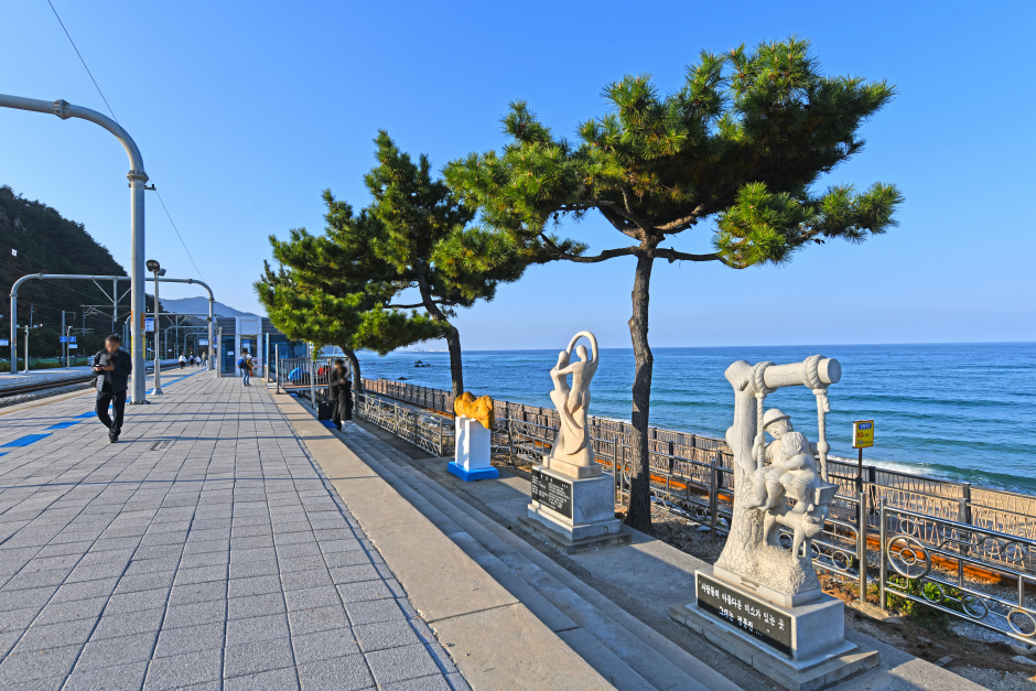 Strand Jeongdongjin (정동진해변)