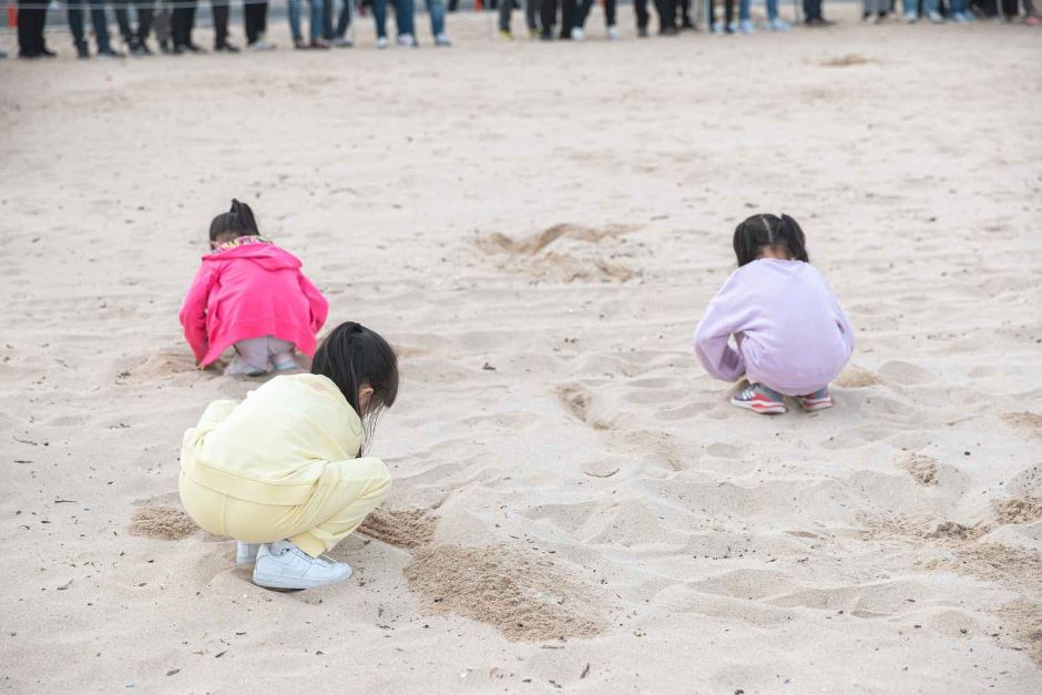 고성통일명태축제