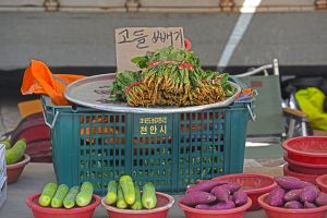 강원_태백_통리장 (5, 15, 25일) (3)