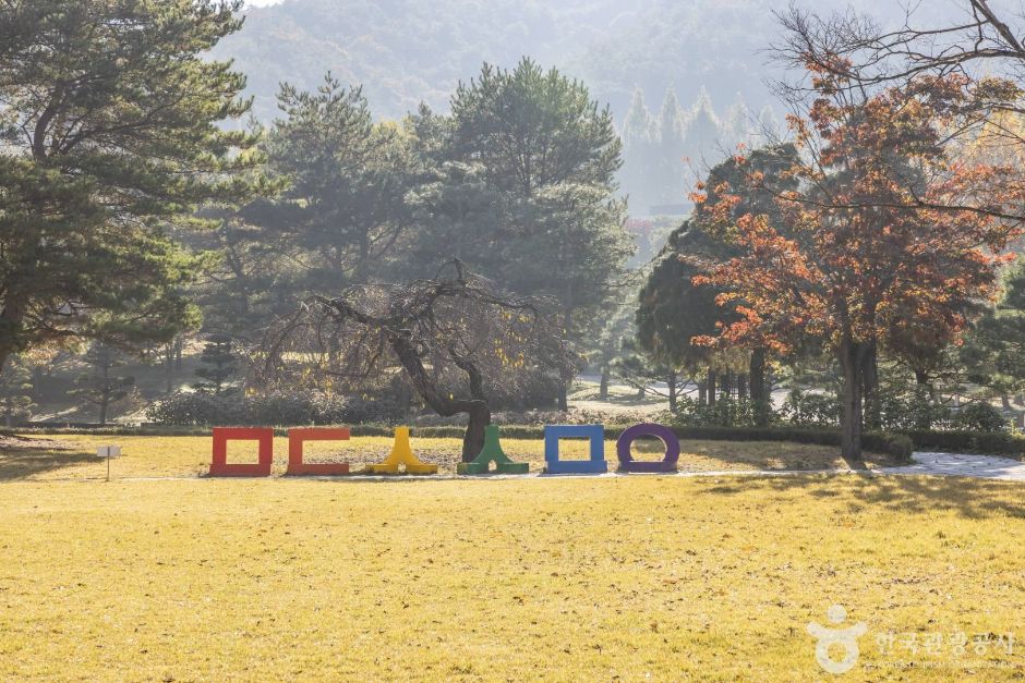 米東山樹木園(미동산수목원)