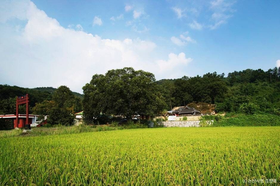 충곡서원