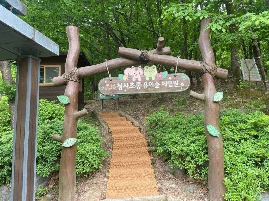 청사초롱 유아숲체험원