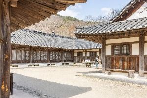 순천_순천전통야생차체험관 (3)