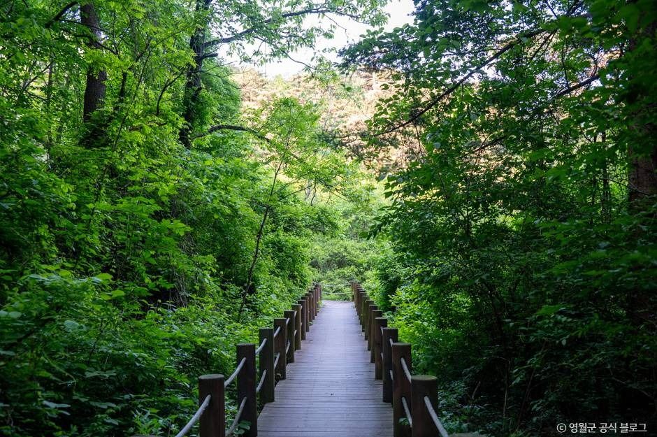 thumbnail-물무리골생태습지-26