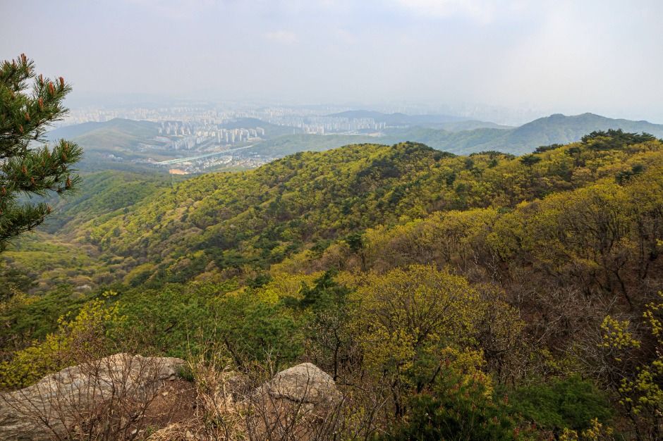 용인 8경