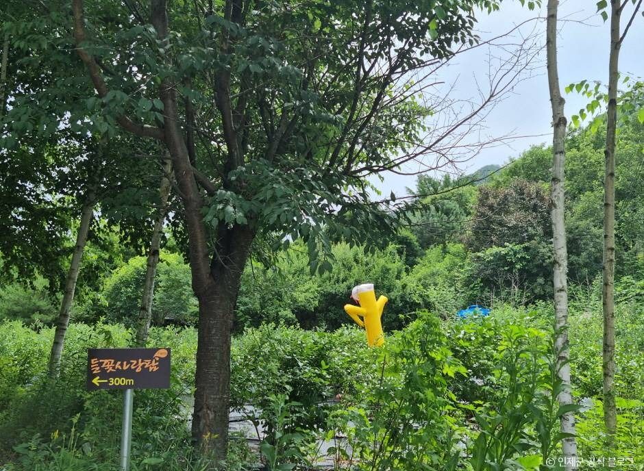 인제 냇강마을