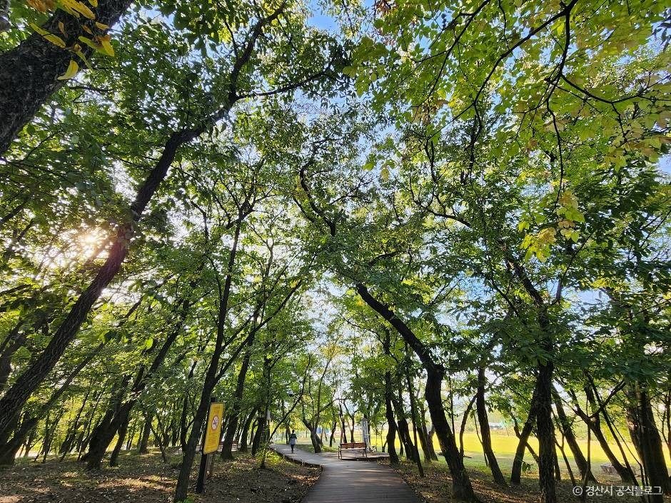 자인계정숲(경산 자인의계정숲)