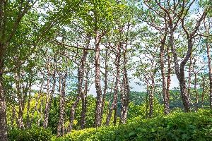 광주_광주호 호수생태원 (2)