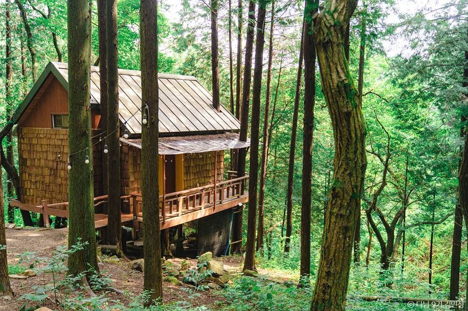 상관 공기마을 편백숲