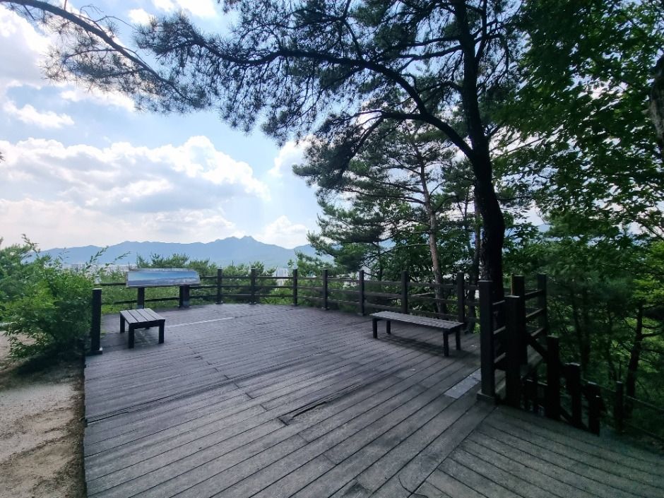 서울_[서울둘레길 1코스] 수락산 (8)