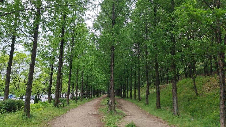 thumbnail-[서울둘레길 15코스] 노을·하늘공원코스-10