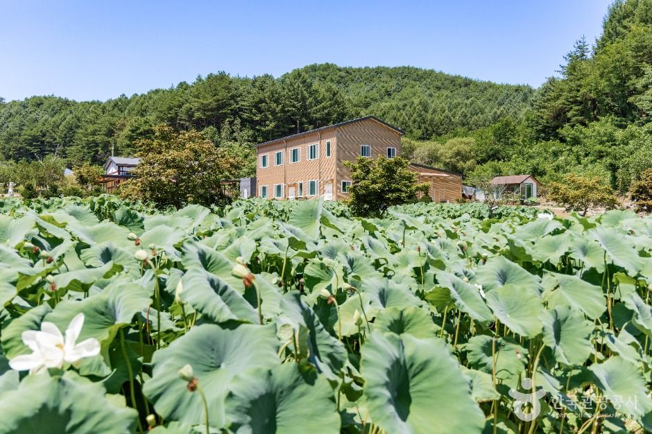 봉화_봉화산사 (4)