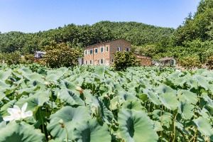 봉화_봉화산사 (4)