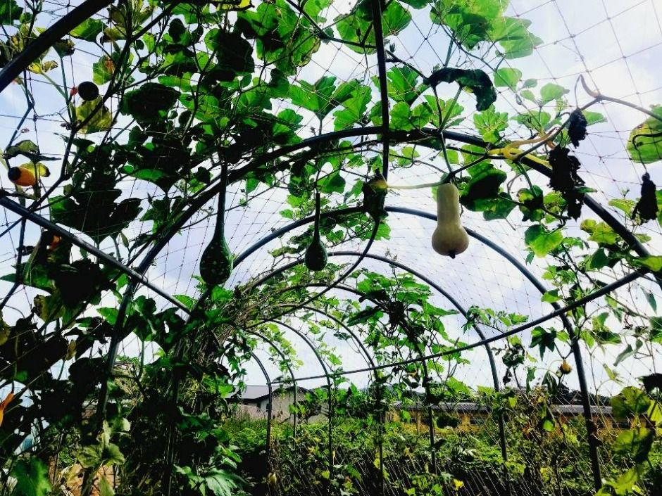 thumbnail-에코왕곡마을-9