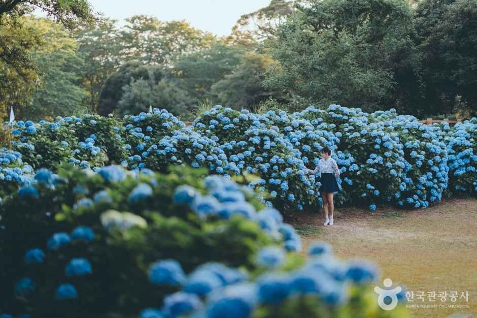 혼인지